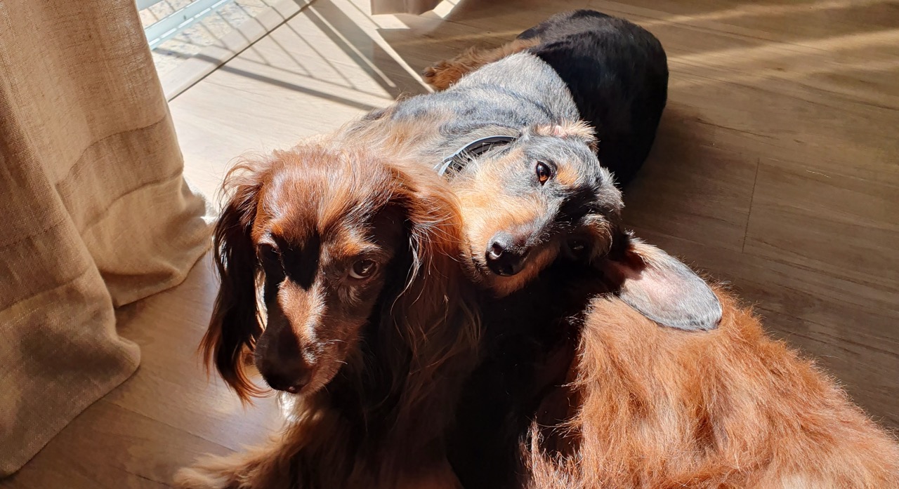 Tutti & Lolla
